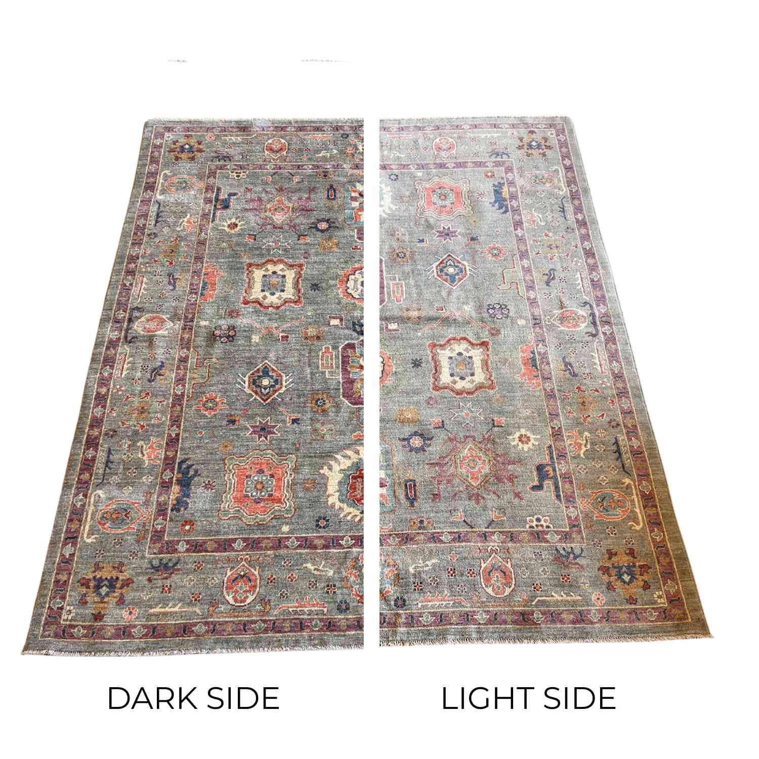 TERMEZ – Fine Rugs of Charleston
