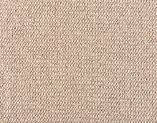 Andean Quinoa