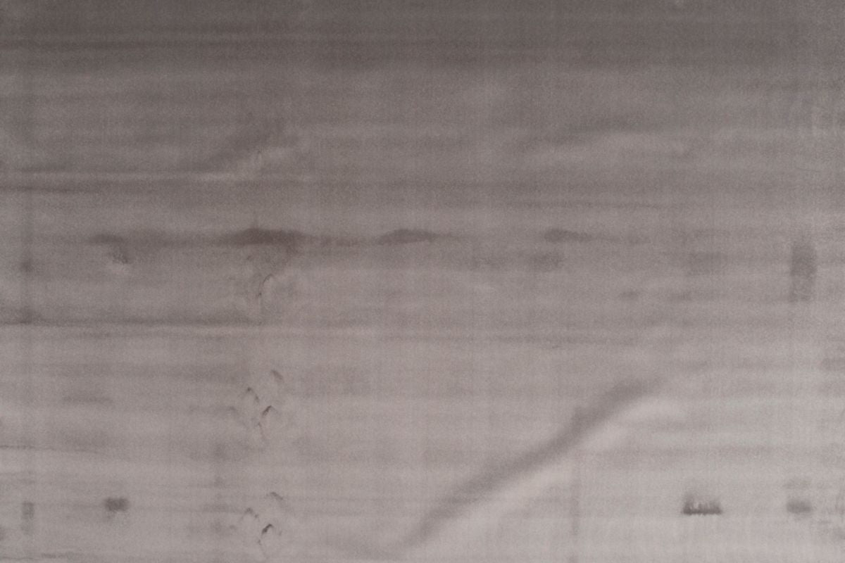 Silt