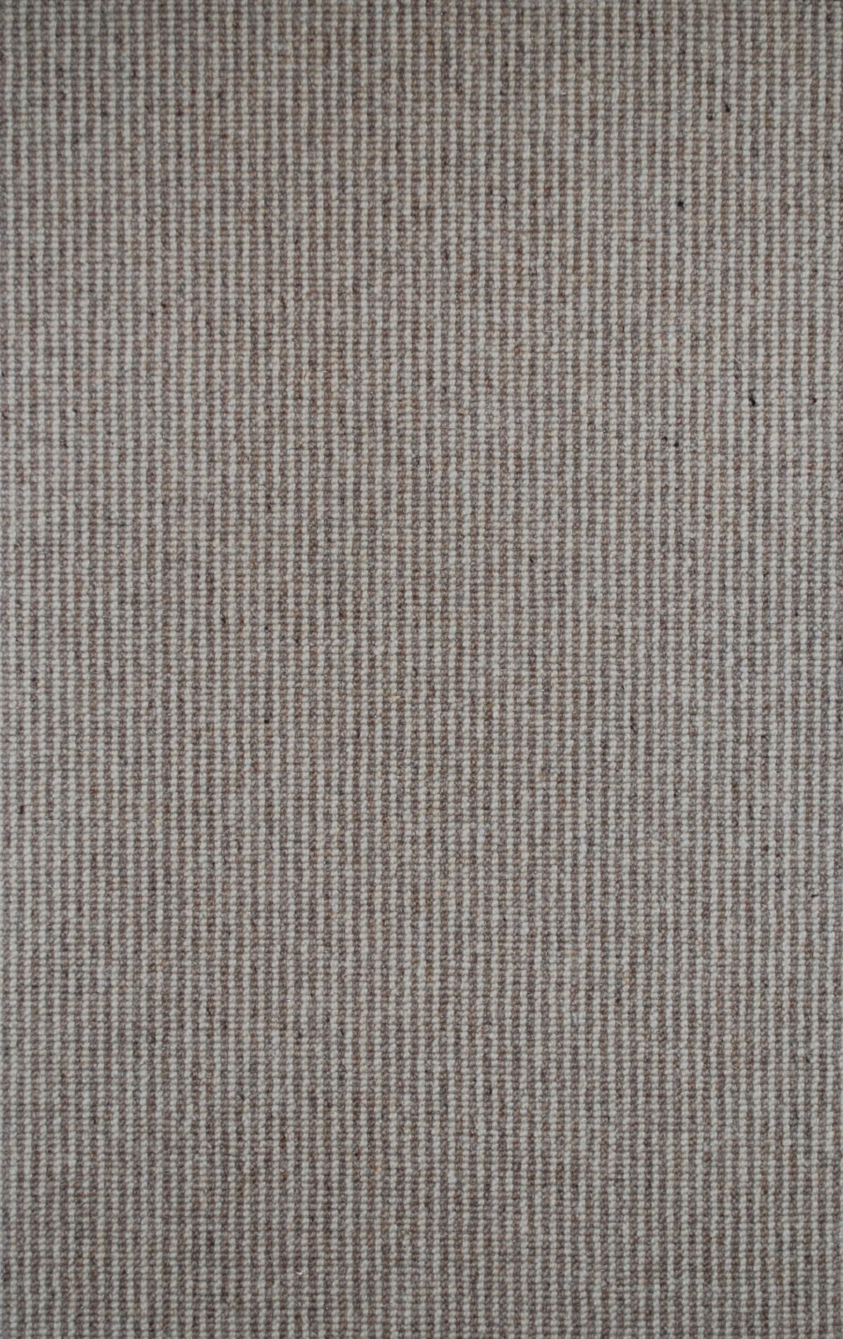 T01009820_SAMPLE